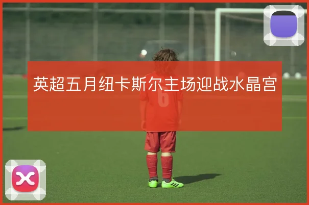 英超五月纽卡斯尔主场迎战水晶宫