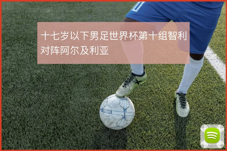 十七岁以下男足世界杯第十组智利对阵阿尔及利亚