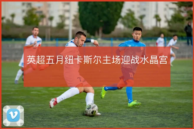 英超五月纽卡斯尔主场迎战水晶宫
